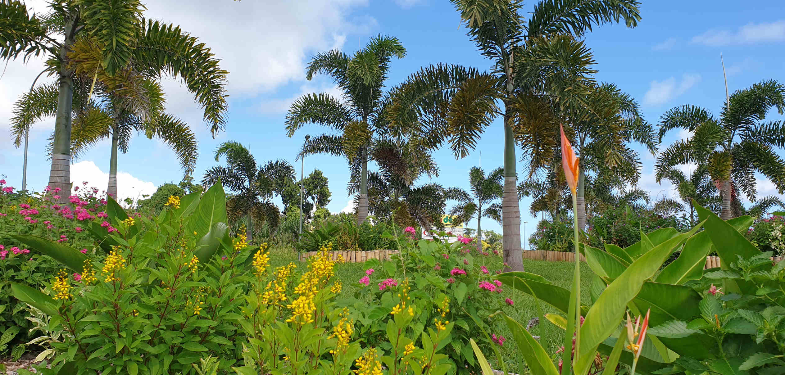 slide-paysage-guadeloupe