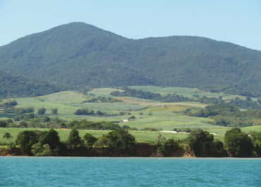 rivière  Guadeloupe