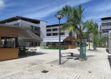 Paysage Guadeloupe