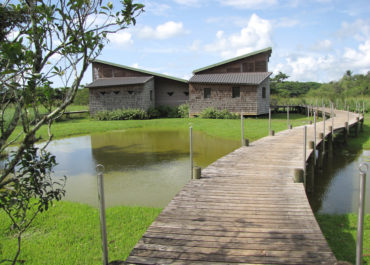Foret  Guadeloupe